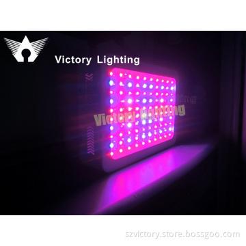 Country Style LED300W Indoor Growing LED Grow Light